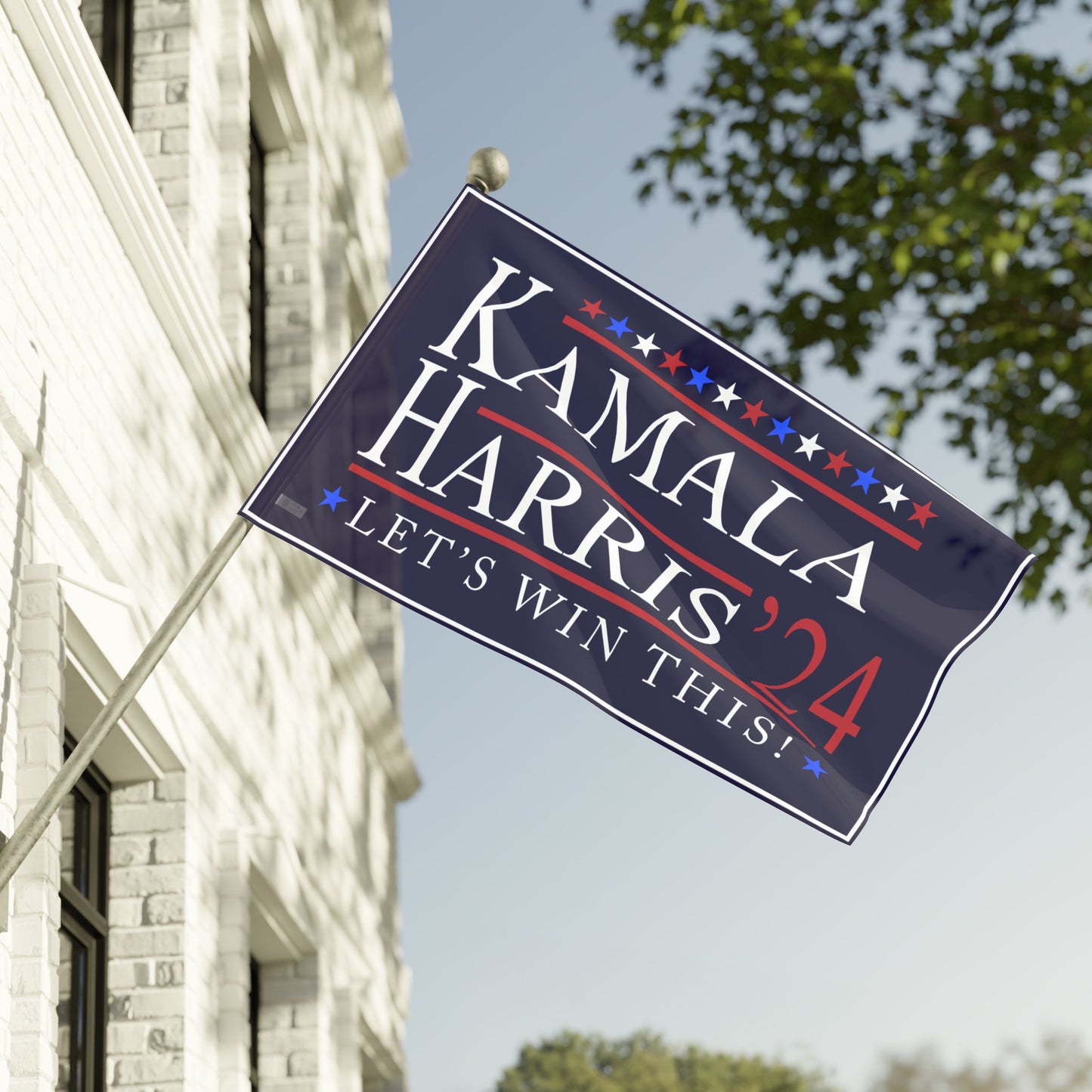 Kamala Harris 2024 "Lets Win This!" flag in 3 sizes!