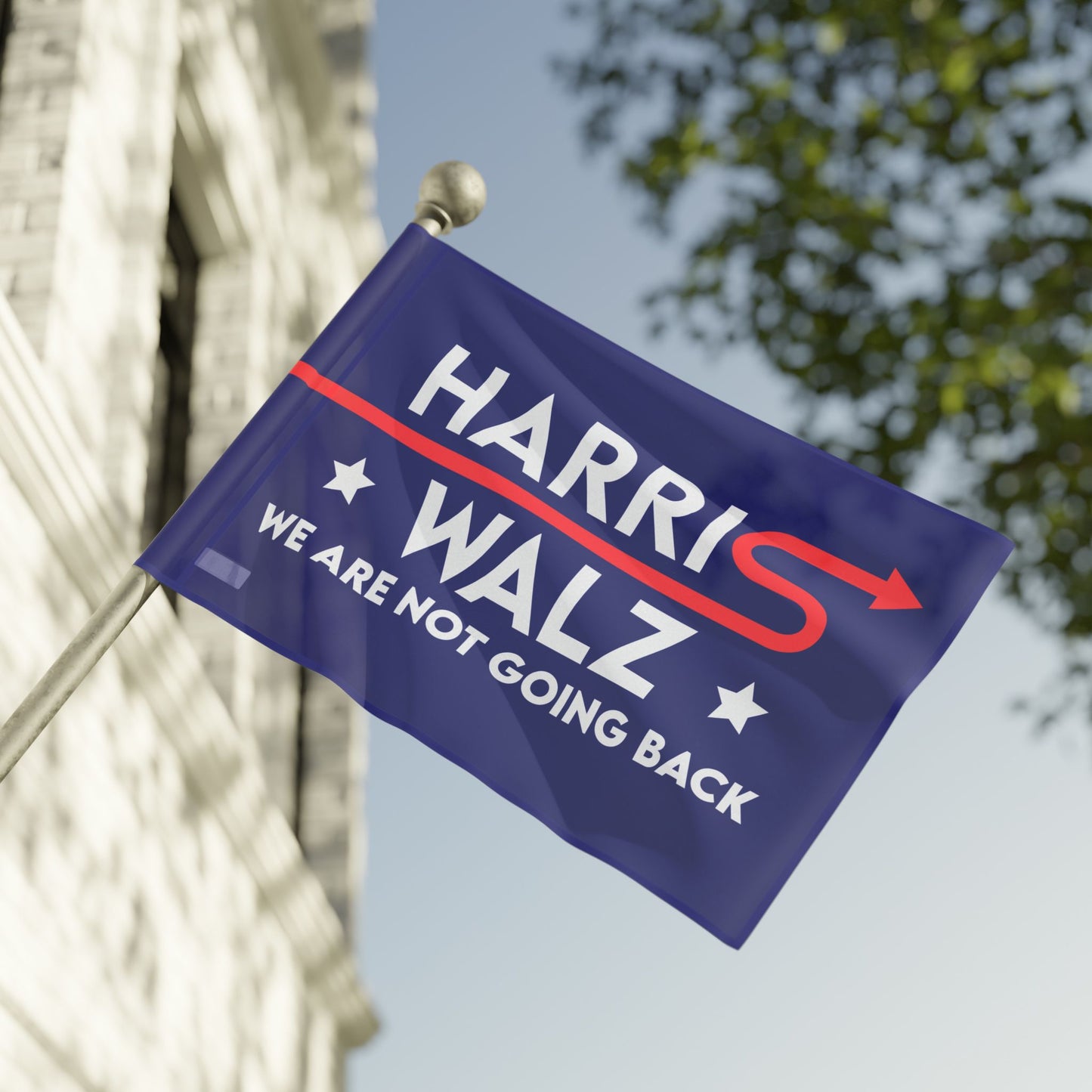 Blue Kamala Harris 2024 Flag - "Harris Walz We Are Not Going Back!" - Red Arrow Forward Design